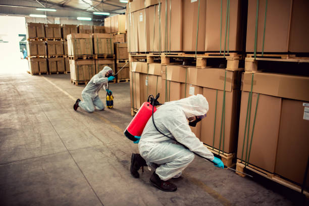 Best Commercial Pest Control Services  in Blountville, TN
