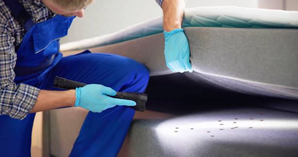 Best Pest Control for Businesses  in Blountville, TN