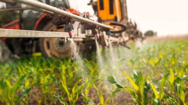 Insect Control in Blountville, TN